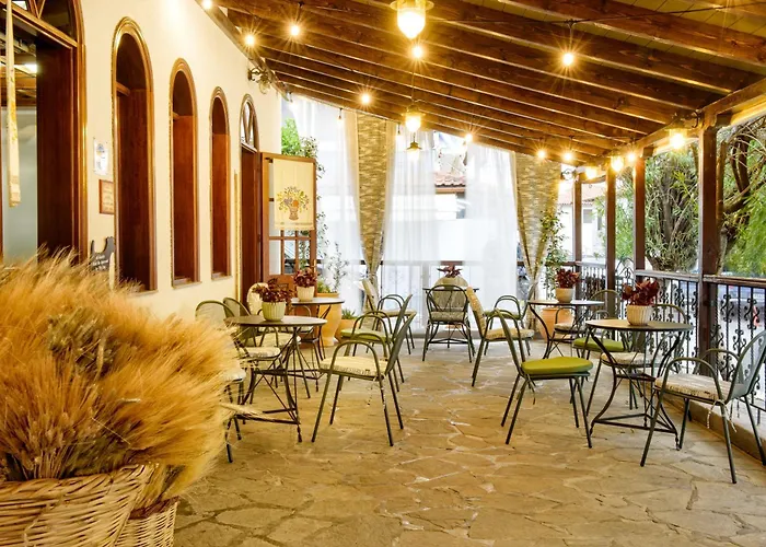 Hotel Theopisti