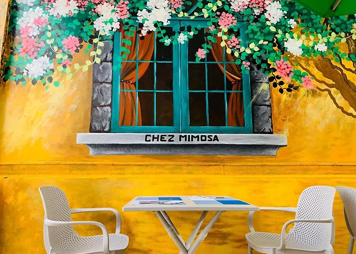 Chez Mimosa Petite - Free Laundry