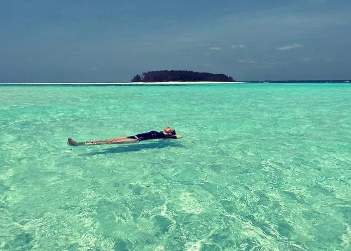 Mambo Paradise