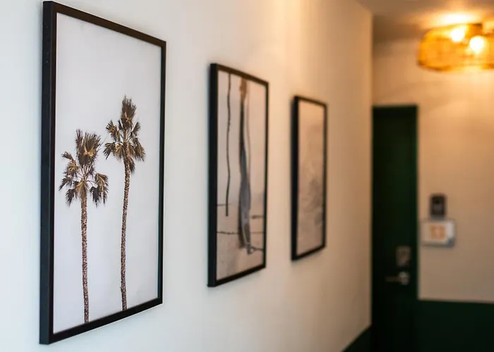 La Mona Loiza Apartment Complex By Stay With Bear