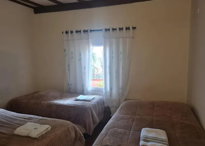 Willa Hala