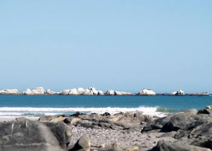 La Baleine