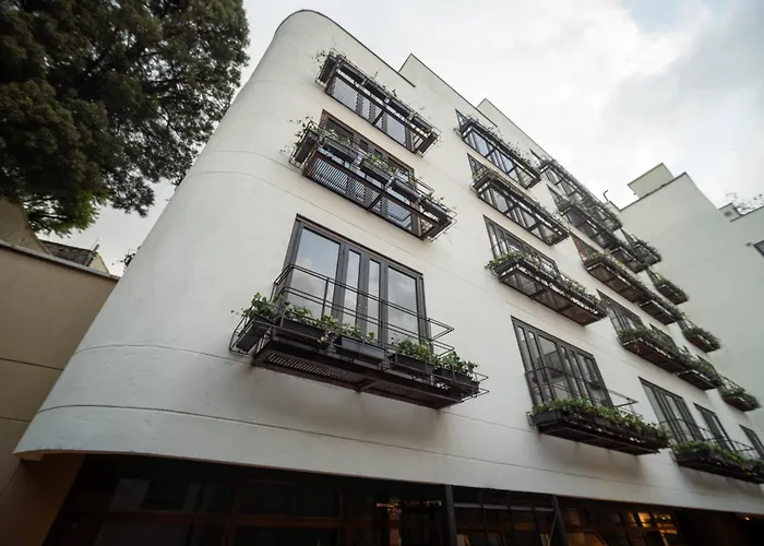 Morph Candelaria - Gestion Hotelera