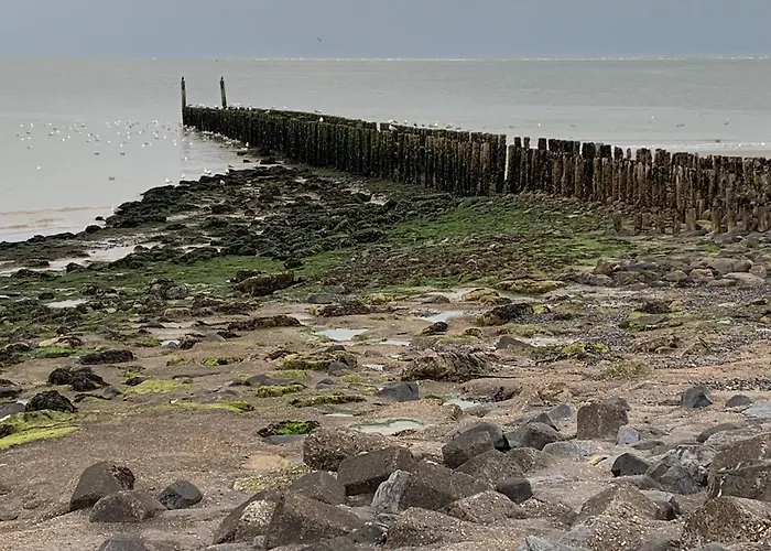 De Logeerkamer Gapinge