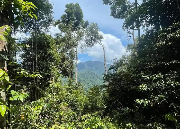 Lawang Inn Restaurant & Jungle Trek