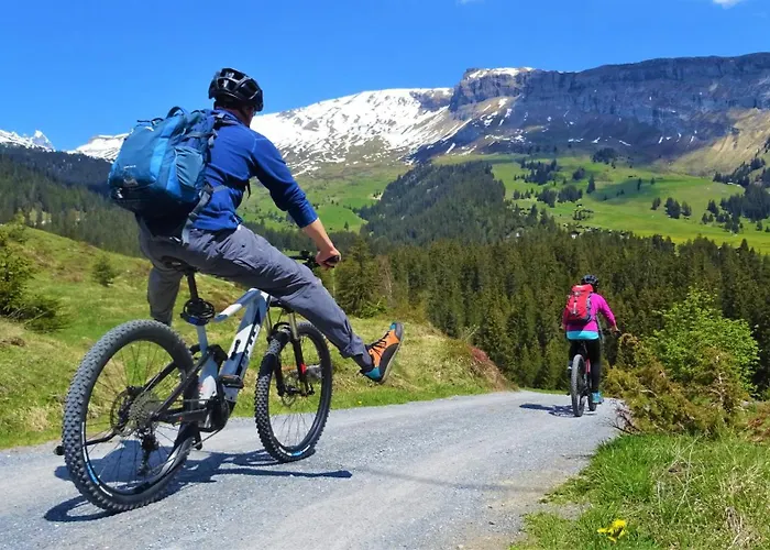 Black Summit Boutique Resort Laax