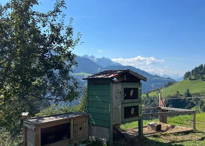 Bio Bauernhof Oberbenk