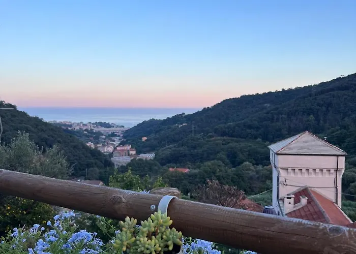 Il Rosale A Celle Ligure