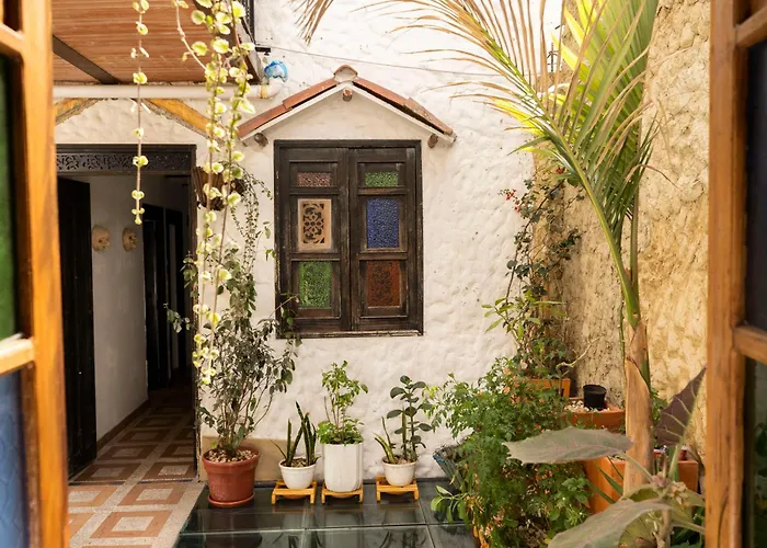 Casa Tsao