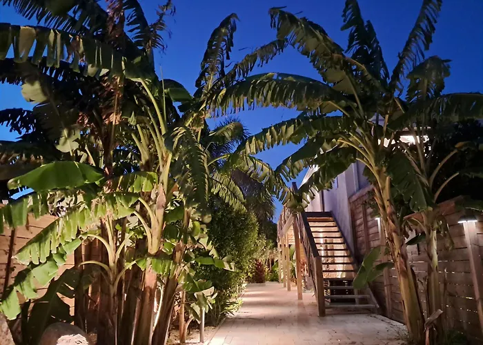 The Forest Suites At Anse Marcel Boutique Hotel Et Restaurant