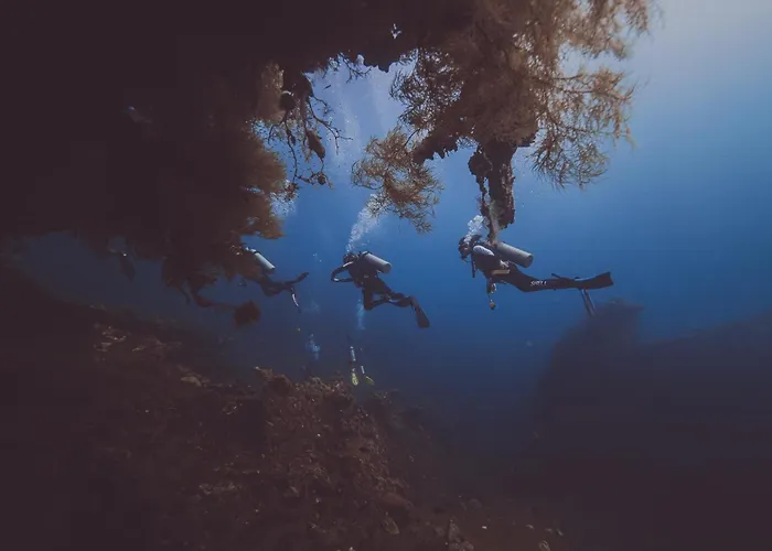 Melibe Dive Resort Bali