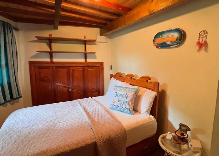 La Casa De Pucha Surf History & Tropical Stay