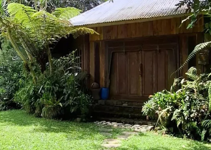 Warung Rekreasi Bedugul