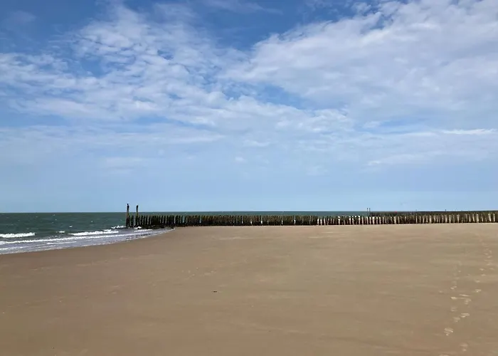 het zwaluwnest