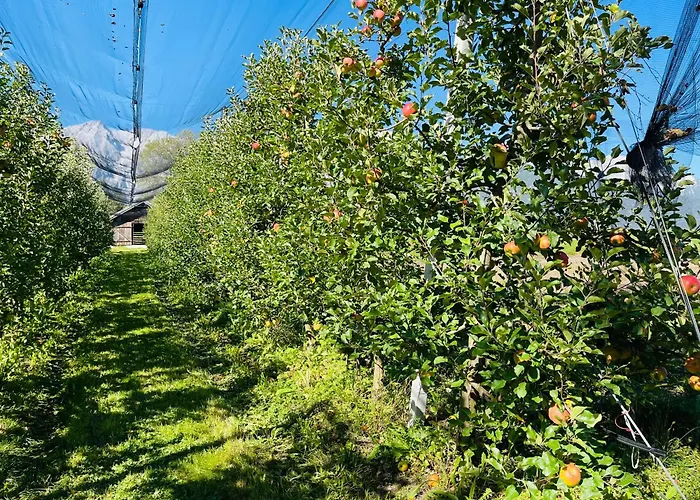 Ferienwohnungen Lukaserhof