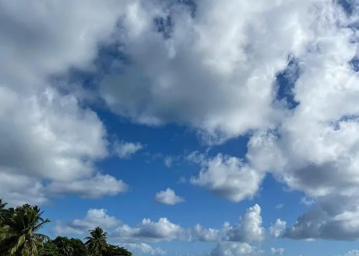 Studio Pé na Areia 2