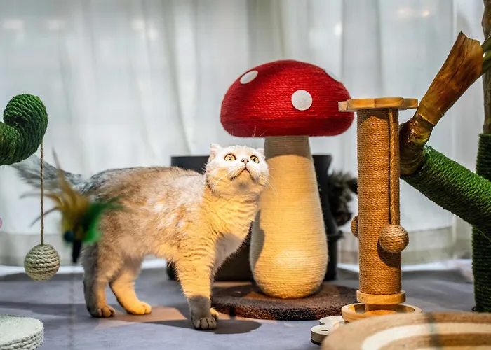 Heonic Art Residence & Suites丨 Signature Family Suites - Free Laundry Luggage Storage -24H Front Desk - Cat Cafe