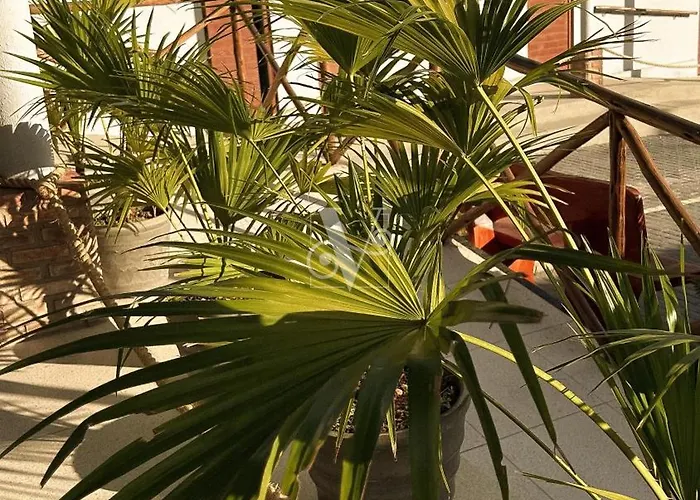 Village Comfort Hotel