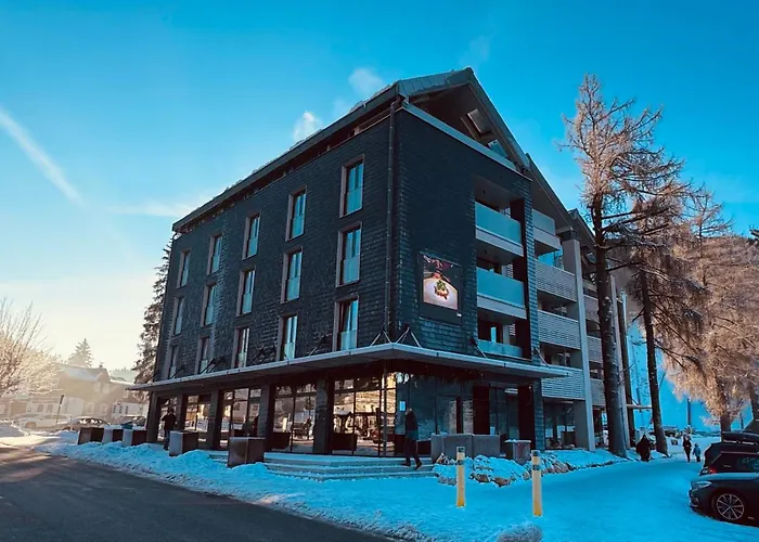 Corso Rustic Luxury Apartment Harrachov, Ski In - Ski Out, Free Parking, High Speed Wi-Fi, Smart Tv