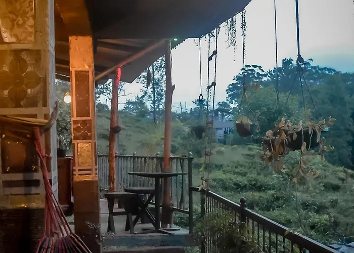 Hostal Tree House