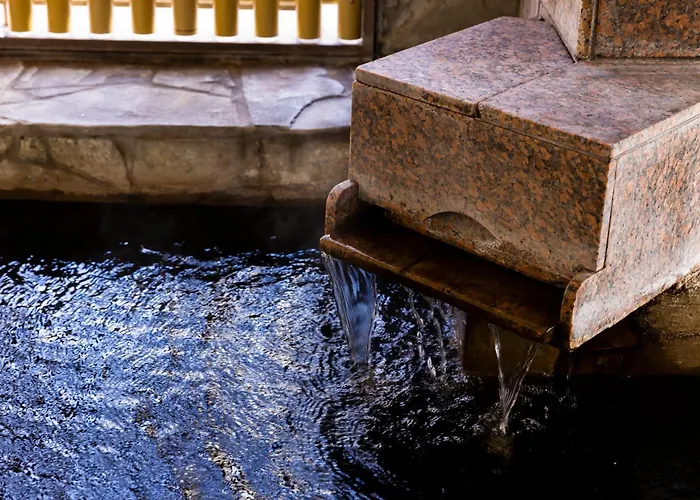 Natural Hot Spring Ariston Hotel Oita