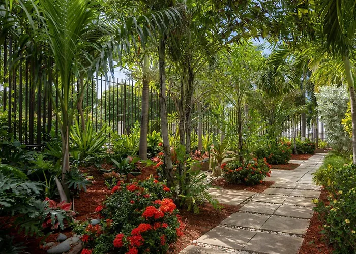 Courtyard By Marriott Kingston, Jamaica