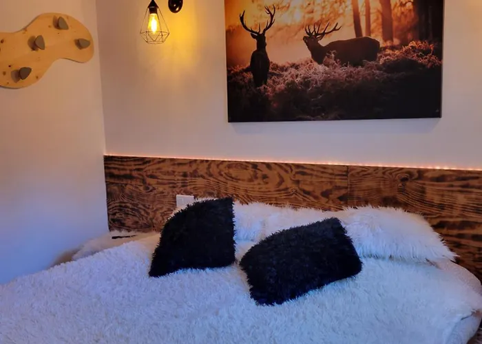 Appartement T2 Cosy