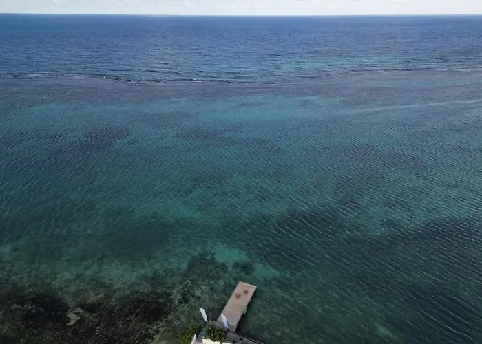 Ocean Palms