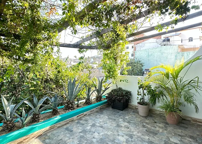 Cabo Bohemia Tropical Garden Studios