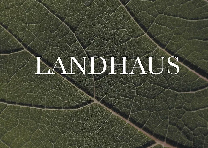 Apartment Landart