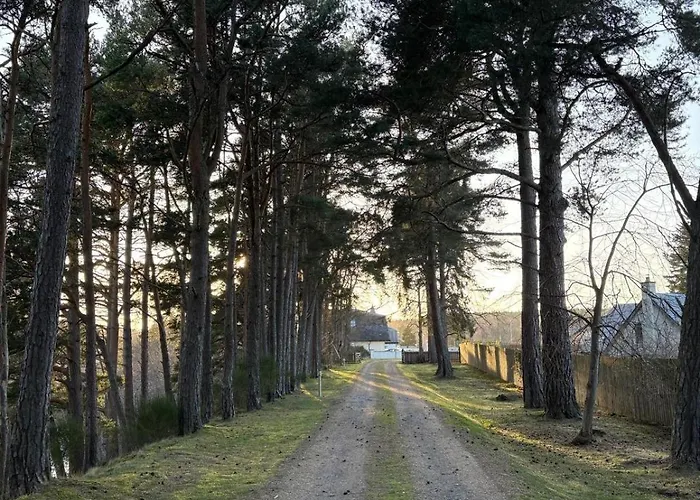 Dalrachney Lodge