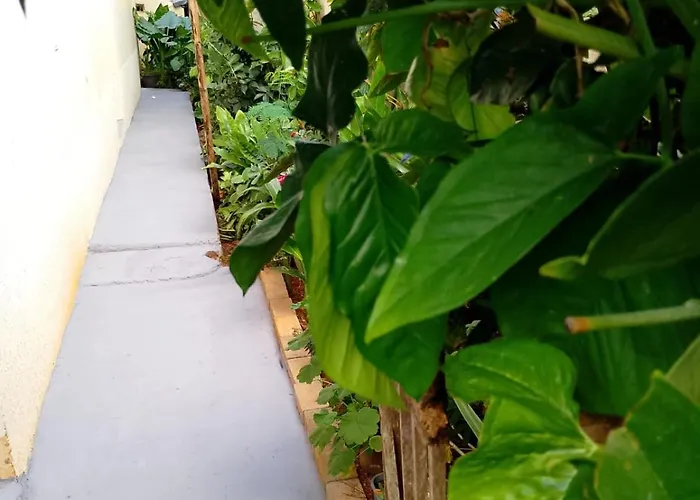Recanto das Plantas