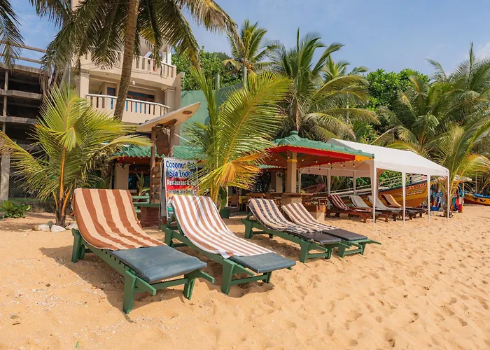 Hotel Coconut Bar Sea Lodge
