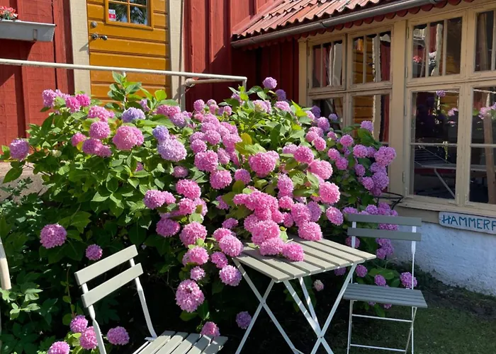 Kyrkstallet 1 Historiskt Med Baesta Laege Graenna