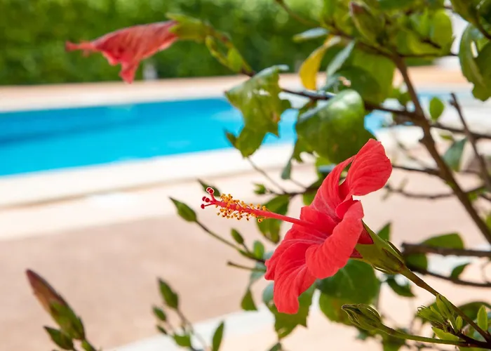 Apartamentos Island
