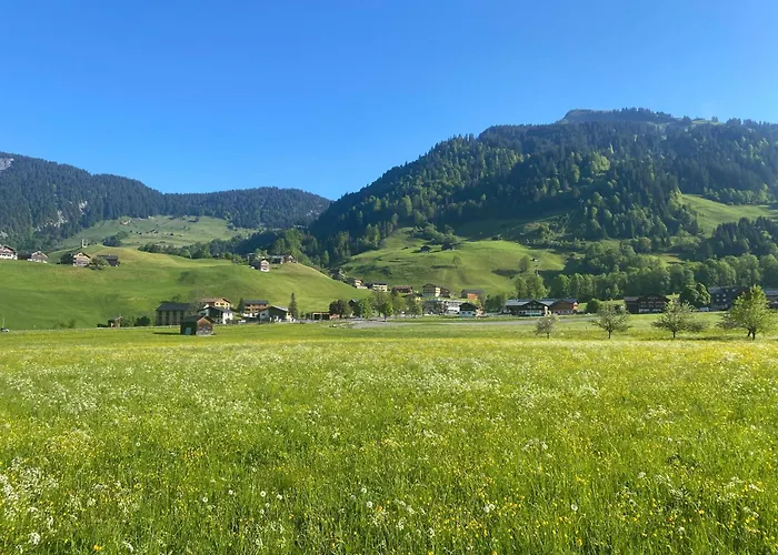 Haus Diedams