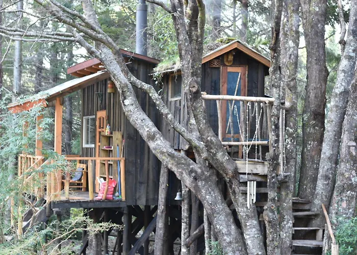 Pucón Volcano Forest SPA