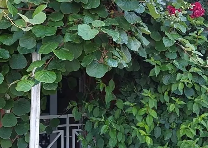 Studio In Sunny Day 6 Complex