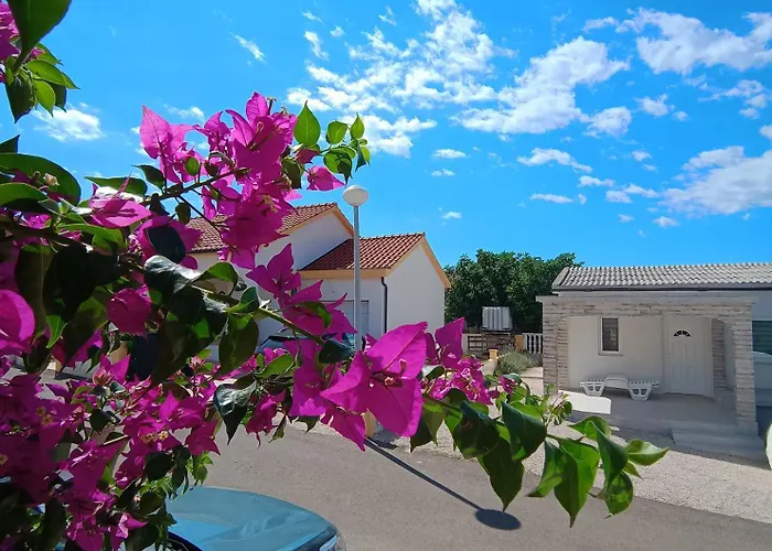 Apartmani Ruza
