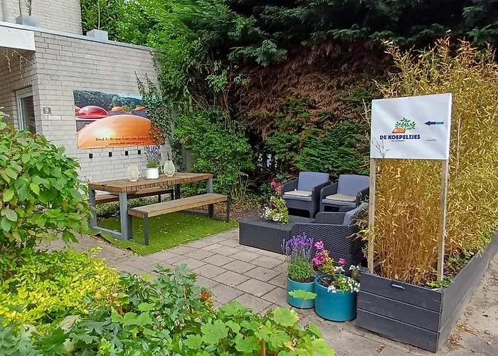 Bed & Breakfast De Koepeltjes