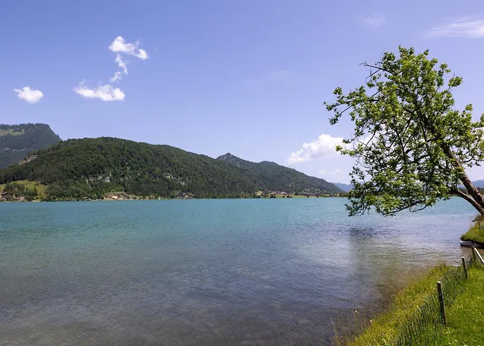 Alpinehome Walchsee