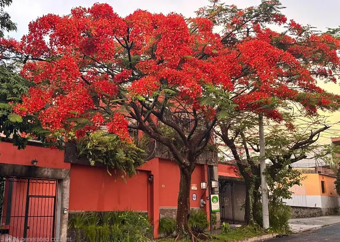Hotel Arbol de Fuego San Salvador