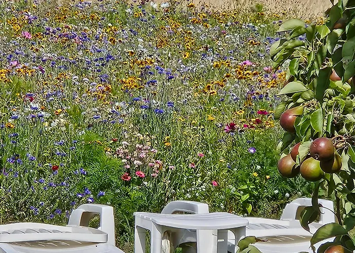 B&B Buutegeweun