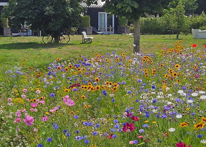 B&B Buutegeweun