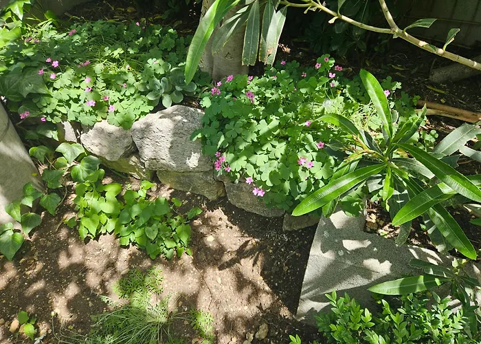 Apartmani Marinovic