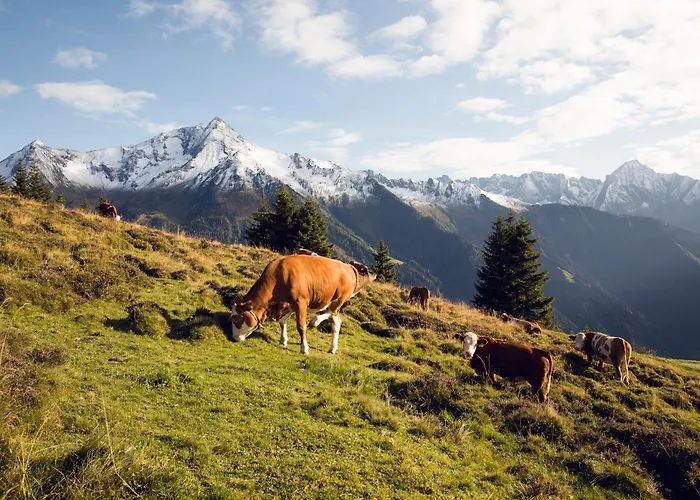 Alpen Quartier
