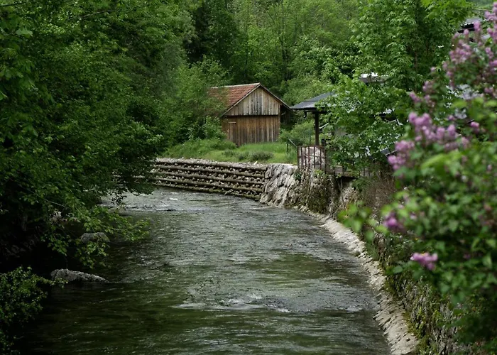 Bohinj River House Spa&Sport