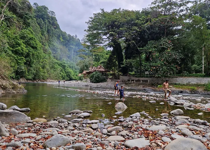 Rambai Tree Jungle Lodges - Family Friendly