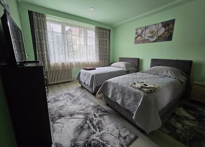 Rodica Apartment