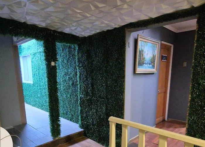 Hostal Hdq En Concepcion Sector Collao